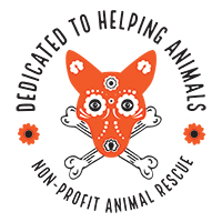 Dedicated to Helping Animals
